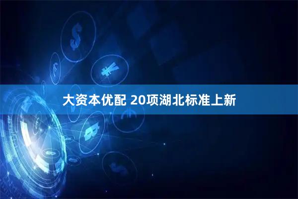 大资本优配 20项湖北标准上新
