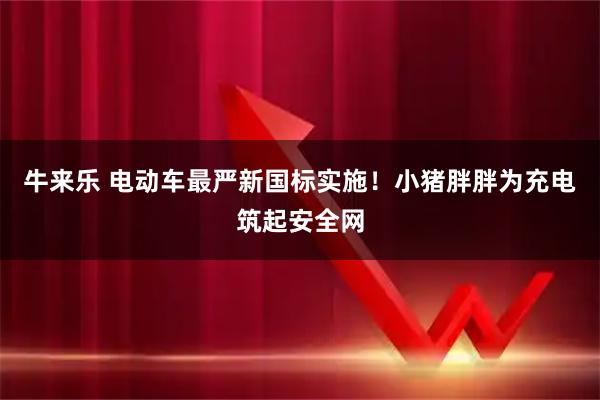 牛来乐 电动车最严新国标实施！小猪胖胖为充电筑起安全网